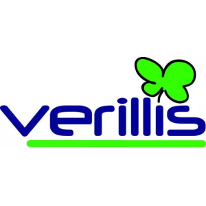 Verillis