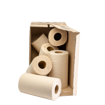 Goodroll - Bamboo Kitchen Towels - 6 wrapless Towels - The Naked Panda Editon - 2 layers