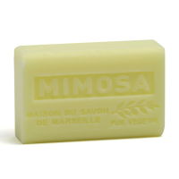 Mimosa