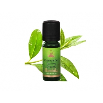 Aromatische olie Tea Tree